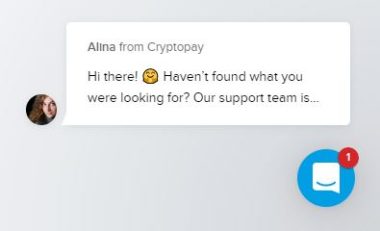 Cryptopay chatbot